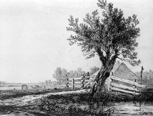 Landscape black and white
